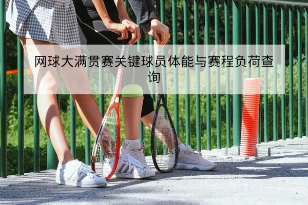 网球大满贯赛关键球员体能与赛程负荷查询